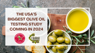 The USA’s Biggest Olive Oil Testing Study Coming in 2024